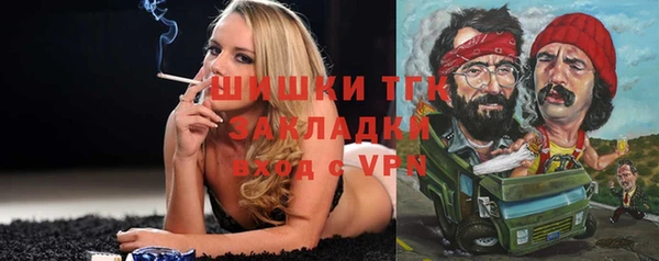 PSILOCYBIN Аркадак