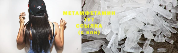 PSILOCYBIN Аркадак