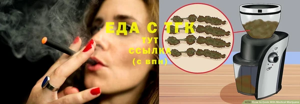 PSILOCYBIN Аркадак
