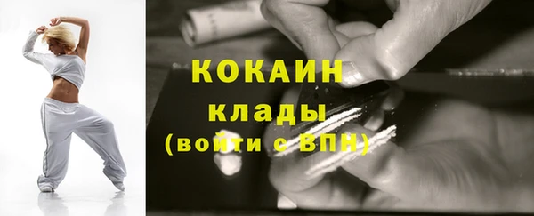 PSILOCYBIN Аркадак