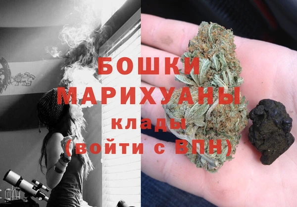 PSILOCYBIN Аркадак