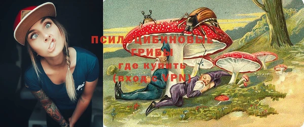 ПСИЛОЦИБИНОВЫЕ ГРИБЫ Армянск